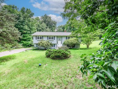 39 Williams Road