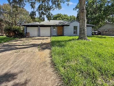 5003 Live Oak Dr