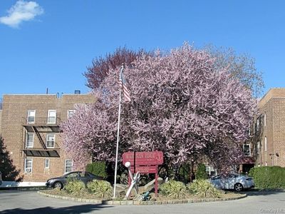 30 DAVENPORT Avenue #1B