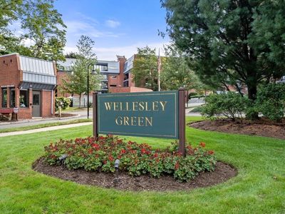 65 Grove St APT 444