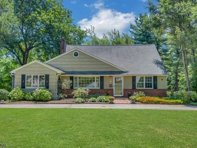 18 Yorke Rd