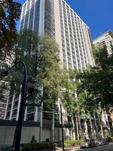 222 E Pearson St APT 1406