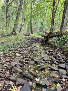 7565 Madisonville Rd