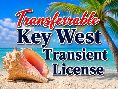 1 Transient Licence