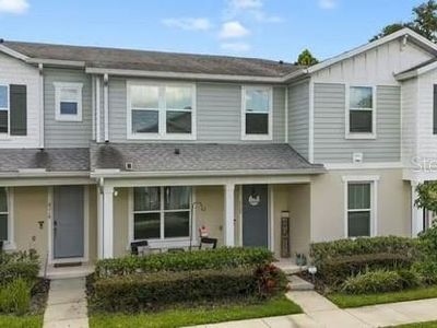 2120 Gopher Tortoise Ter