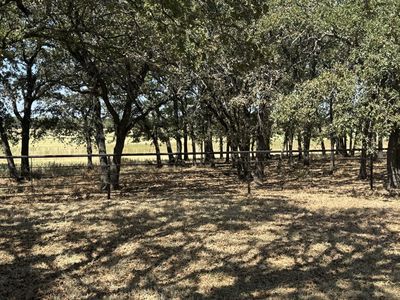 986 County Road 1785