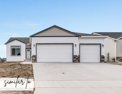 Statice Plan, Harvest Creek