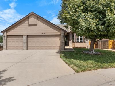 6576 Torrey Court