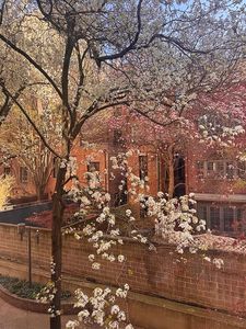 64 E 94th St APT 3B