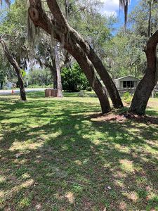 848 County Road 484a