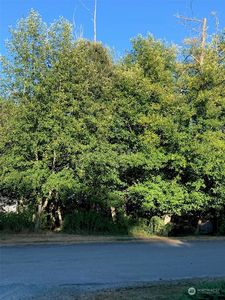 Property at 0 XXX Brittney Drive, Freeland, WA