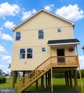 49 Williams Ave