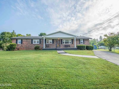 151 Selma St