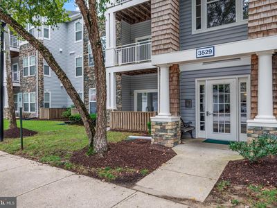 3529 Piney Woods Pl APT I101