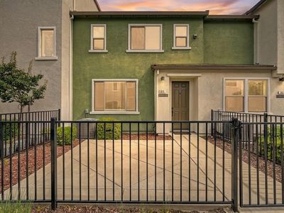 3031 Mesmerizing Walk