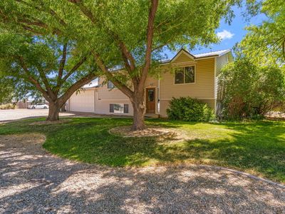 3900 N Quarterhorse Dr