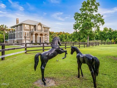 36 Avenue Of Oaks