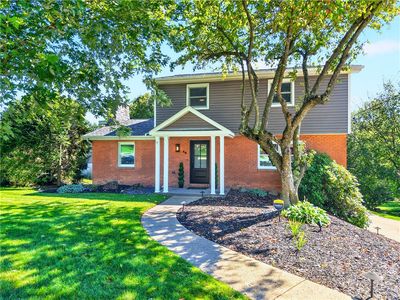 49 Norfolk Dr