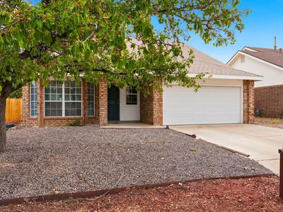 8 Apache Plume Rd
