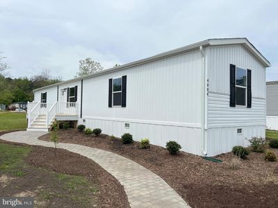 4006 Emilys Emilys #37