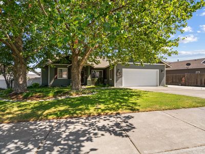2433 Curlew St