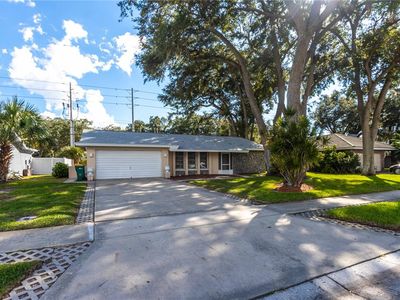 Property at 1950 SANDPIPER DRIVE, Palm Harbor, FL
