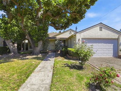 954 Broadleaf Ln