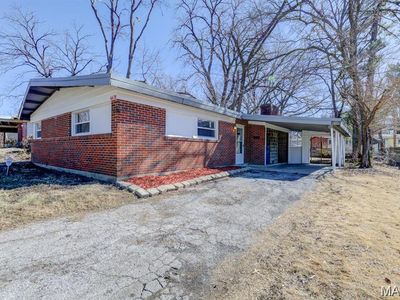 6628 Bitteroot Ln