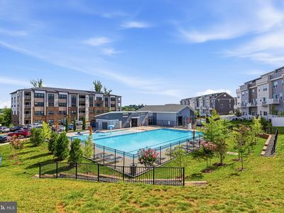 46294 Mount Milstead Ter #101