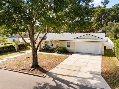 404 Hazel Ct