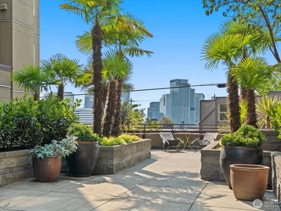 1711 E Olive Way #217