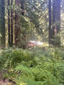 29500 Albion Ridge Road