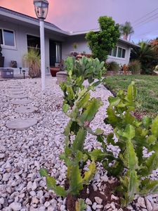 4342 Coronado Parkway