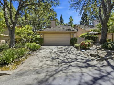 7419 Black Tree Ln