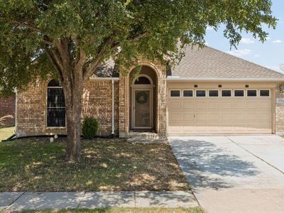 1705 Canvasback
