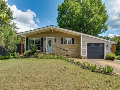 78 Elaine Cir