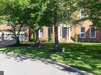 11 Argosy Ct