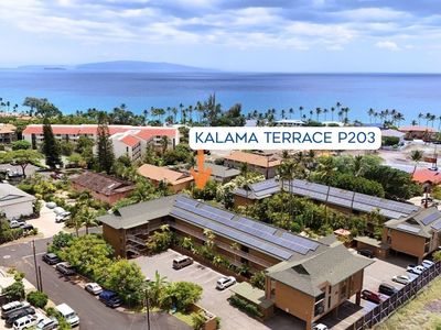 35 Walaka St APT P203