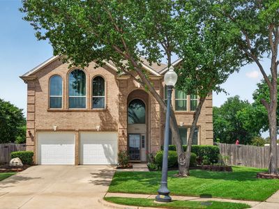 3905 Lacebark Ln