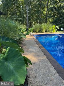 208 Lake Shore Dr