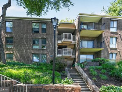 17816 Buehler 163/1 #D3