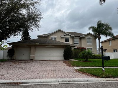 1802 Regal Mist Loop