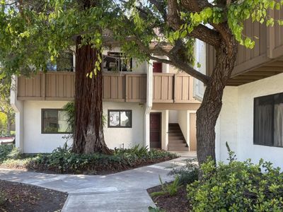 2201 Monroe St APT 502