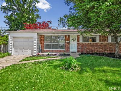 14 Tamma Ln