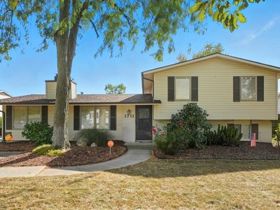 1711 Saint Louis Ave