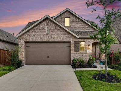 2012 Dappled Grey Ave