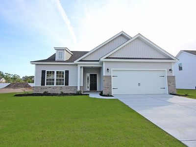 The Edisto Plan, Ocean Palms