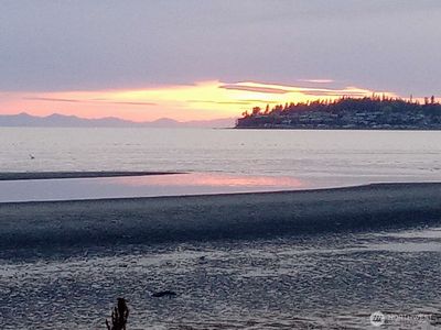 7806 Birch Bay Drive #704