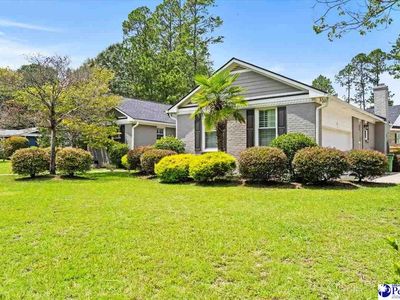 1407 Palmetto Dr