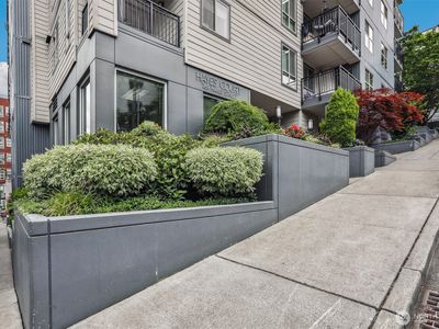 769 Hayes Street #504